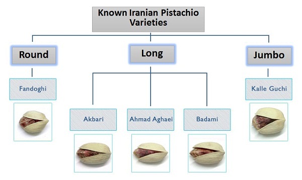 Pistachio-Copy.jpg