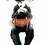 chaplin