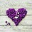 nima_nz